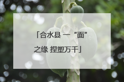 合水县 一“面”之缘 捏塑万千