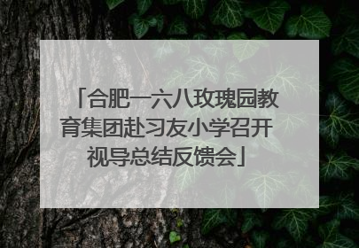 合肥一六八玫瑰园教育集团赴习友小学召开视导总结反馈会
