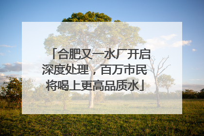 合肥又一水厂开启深度处理，百万市民将喝上更高品质水