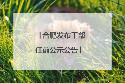 合肥发布干部任前公示公告