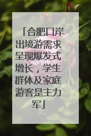 合肥口岸出境游需求呈现爆发式增长，学生群体及家庭游客是主力军