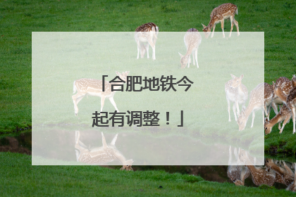 合肥地铁今起有调整！
