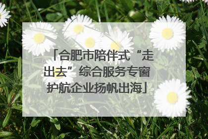 合肥市陪伴式“走出去”综合服务专窗护航企业扬帆出海