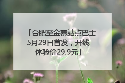 合肥至金寨站点巴士5月29日首发,开线体验价29.9元
