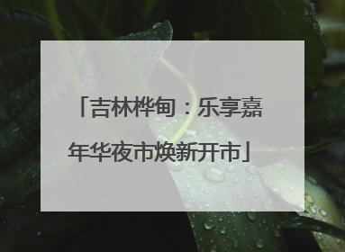 吉林桦甸：乐享嘉年华夜市焕新开市