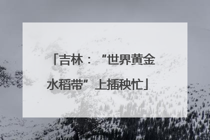 吉林：“世界黄金水稻带”上插秧忙