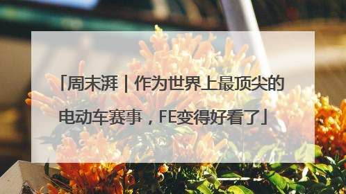周末湃｜作为世界上最顶尖的电动车赛事，FE变得好看了