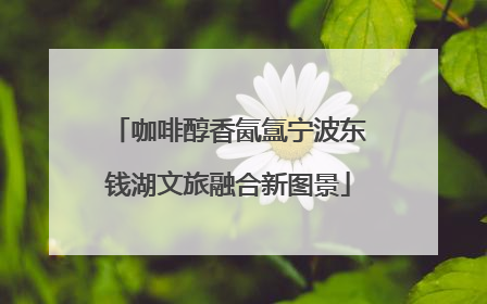 咖啡醇香氤氲宁波东钱湖文旅融合新图景