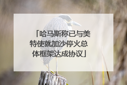 哈马斯称已与美特使就加沙停火总体框架达成协议