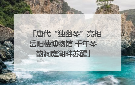 唐代“独幽琴”亮相岳阳楼博物馆 千年琴韵洞庭湖畔苏醒