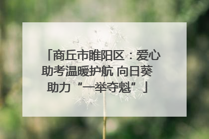 商丘市睢阳区：爱心助考温暖护航 向日葵助力“一举夺魁”