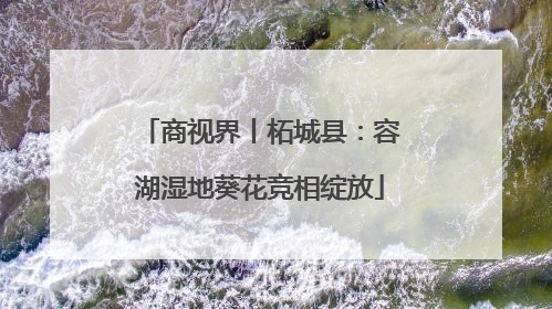 商视界丨柘城县：容湖湿地葵花竞相绽放