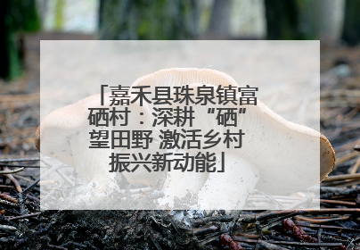嘉禾县珠泉镇富硒村：深耕“硒”望田野 激活乡村振兴新动能