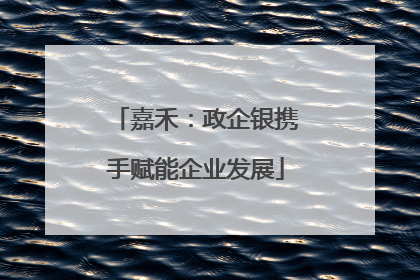 嘉禾：政企银携手赋能企业发展