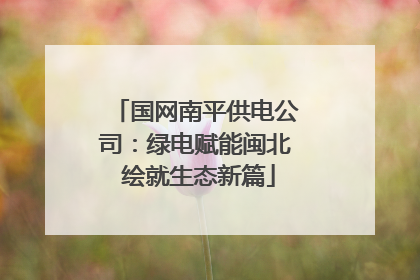 国网南平供电公司：绿电赋能闽北 绘就生态新篇
