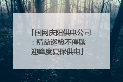 国网庆阳供电公司：精益巡检不停歇 迎峰度夏保供电
