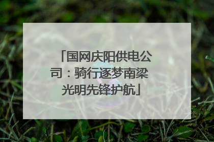 国网庆阳供电公司：骑行逐梦南梁 光明先锋护航