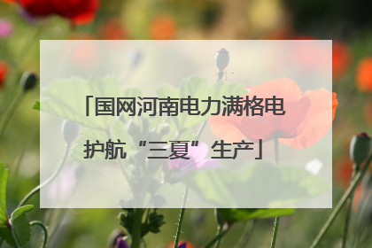 国网河南电力满格电护航“三夏”生产