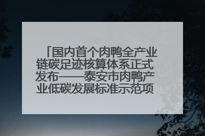 国内首个肉鸭全产业链碳足迹核算体系正式发布——泰安市肉鸭产业低碳发展标准示范项目顺利通过验收