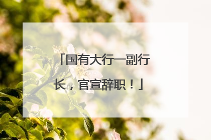 国有大行一副行长，官宣辞职！