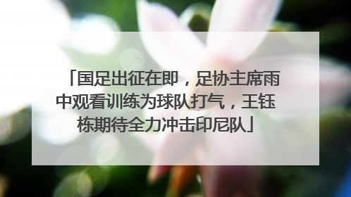 国足出征在即，足协主席雨中观看训练为球队打气，王钰栋期待全力冲击印尼队