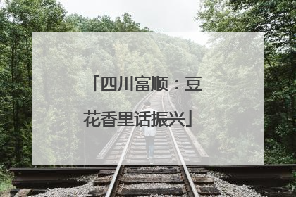 四川富顺：豆花香里话振兴