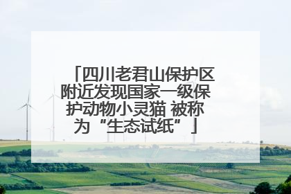 四川老君山保护区附近发现国家一级保护动物小灵猫 被称为“生态试纸”