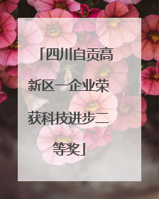 四川自贡高新区一企业荣获科技进步二等奖