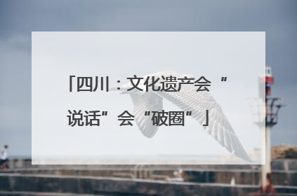 四川：文化遗产会“说话”会“破圈”