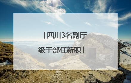 四川3名副厅级干部任新职