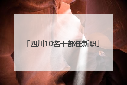 四川10名干部任新职