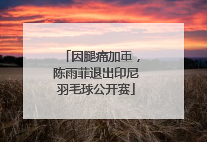 因腿痛加重，陈雨菲退出印尼羽毛球公开赛