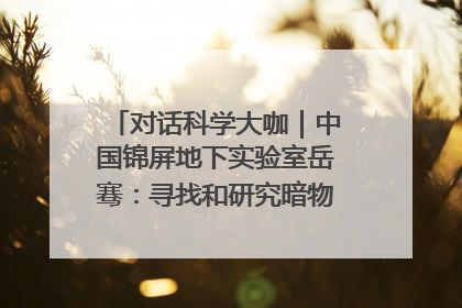 对话科学大咖｜中国锦屏地下实验室岳骞：寻找和研究暗物质，就是要去突破人类的认知边界