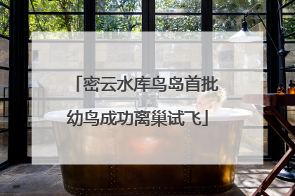 密云水库鸟岛首批幼鸟成功离巢试飞