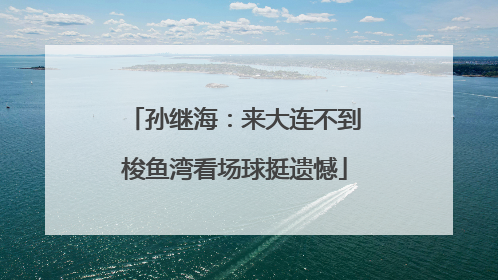 孙继海：来大连不到梭鱼湾看场球挺遗憾