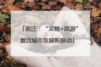 宿迁：“文物+旅游”激活城市发展新脉动