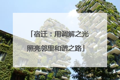 宿迁：用调解之光照亮邻里和谐之路