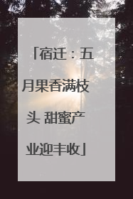 宿迁：五月果香满枝头 甜蜜产业迎丰收