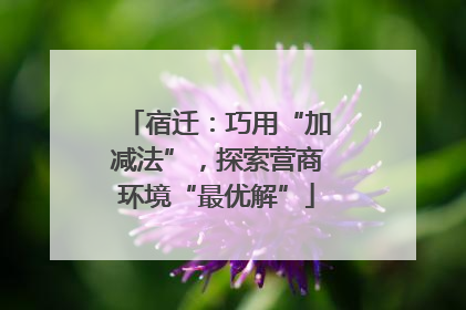 宿迁：巧用“加减法”，探索营商环境“最优解”