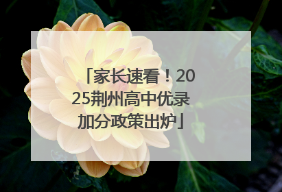 家长速看！2025荆州高中优录加分政策出炉