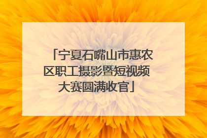宁夏石嘴山市惠农区职工摄影暨短视频大赛圆满收官