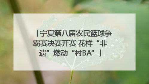 宁夏第八届农民篮球争霸赛决赛开赛 花样“非遗”燃动“村BA”