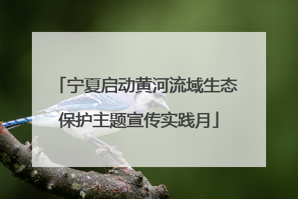 宁夏启动黄河流域生态保护主题宣传实践月