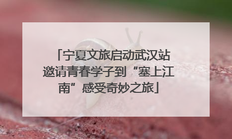 宁夏文旅启动武汉站 邀请青春学子到“塞上江南”感受奇妙之旅