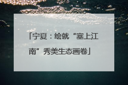宁夏：绘就“塞上江南”秀美生态画卷