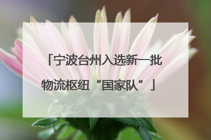 宁波台州入选新一批物流枢纽“国家队”