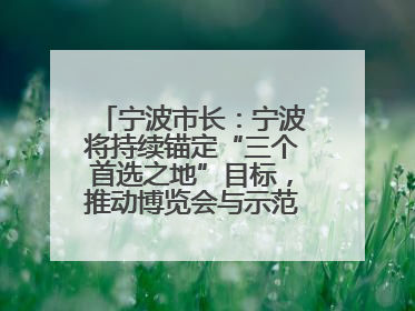 宁波市长：宁波将持续锚定“三个首选之地”目标，推动博览会与示范区互促共进