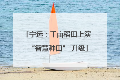 宁远：千亩稻田上演 “智慧种田” 升级