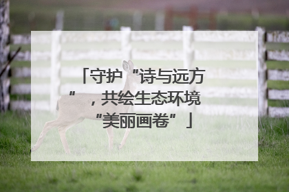 守护“诗与远方”，共绘生态环境“美丽画卷”