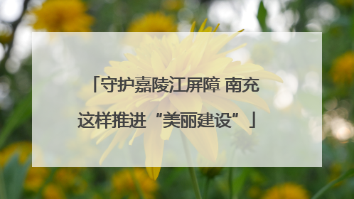 守护嘉陵江屏障 南充这样推进“美丽建设”